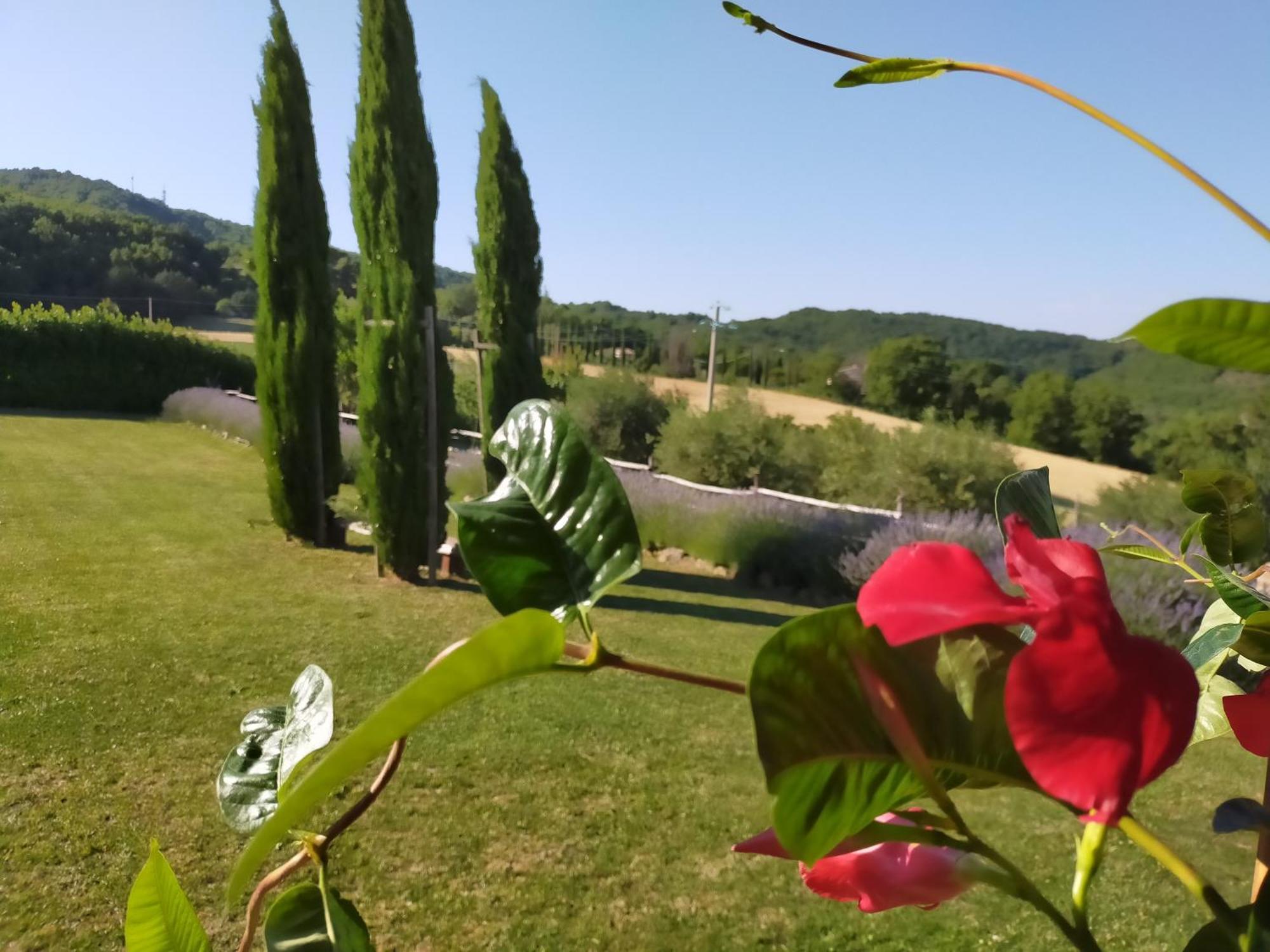 Suite Asís Exterior foto